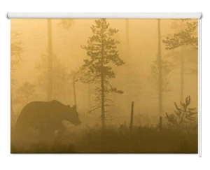 Bear in the Morning Fog Forest Printed Window Roller Blinds Blackout Custom - Picture 1 of 2