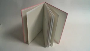 Nuevo Libro de Registro/Memoria para Bebé Niña - El Regalo de Guarda Perfecto para Embarazo #7N2 - Imagen 1 de 6