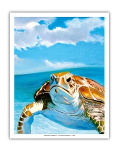 Honu, Hawaiian Sea Turtle by Wade Koniakowsky - Picture 1 of 25