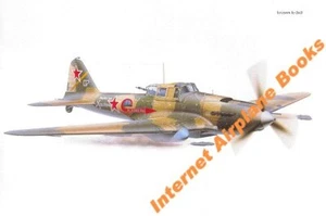 FLIEGERKUNST WW2 RUSSIAN SOVIET AF ILYUSHIN IL-2/3M STORMOVIK ATTACK PLANE 1944 - Bild 1 von 1