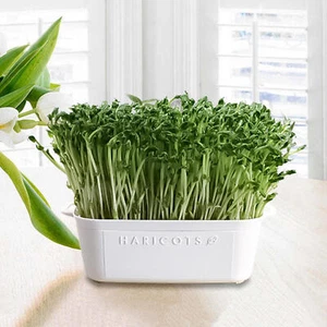 Seed Sprouter Tray Container Wheatgrass Grower Lid Sprouting Bean Mung - Picture 1 of 12