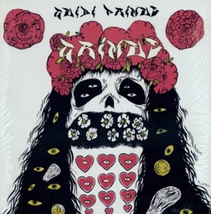 Grimes “Geidi Primes” Vinyl LP (2011 Repress) USED RARE - Imagen 1 de 4
