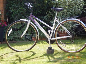 Raleigh Bikes for sale | eBay