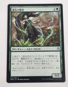 Evolution Sage - Japonés - War of the Spark - Magic the Gathering Magic The Gathering - LP - Imagen 1 de 6