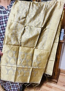Beige DORADO India BANARSI Arte Seda Dupatta Envoltura Bufanda Estola Chal Chunri NUEVO - Imagen 1 de 8