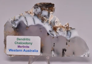 Rebanada Pulida Merlinita, Calcedonia Dentrítica, 66 gramos Australia S905 - Imagen 1 de 4