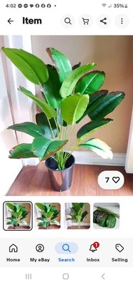 26" Height Artificial Tropical Plant Banana Tree Life Like 18 Autumn Leave - Image 1 of 4