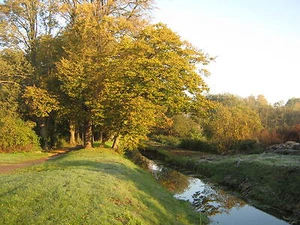 FOTOPAPIER MATT für Tintendrucker AUSWAHL wasserfest absolut KEIN Glanz A3 + A4 - Bild 1 von 16