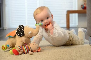 DOLCE PULL A LO LARGO ELEFANTE - Imagen 1 de 1