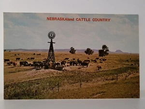 Postcard Nebraska Nebraskaland Cattle Country Hereford & Angus Cows - Picture 1 of 2