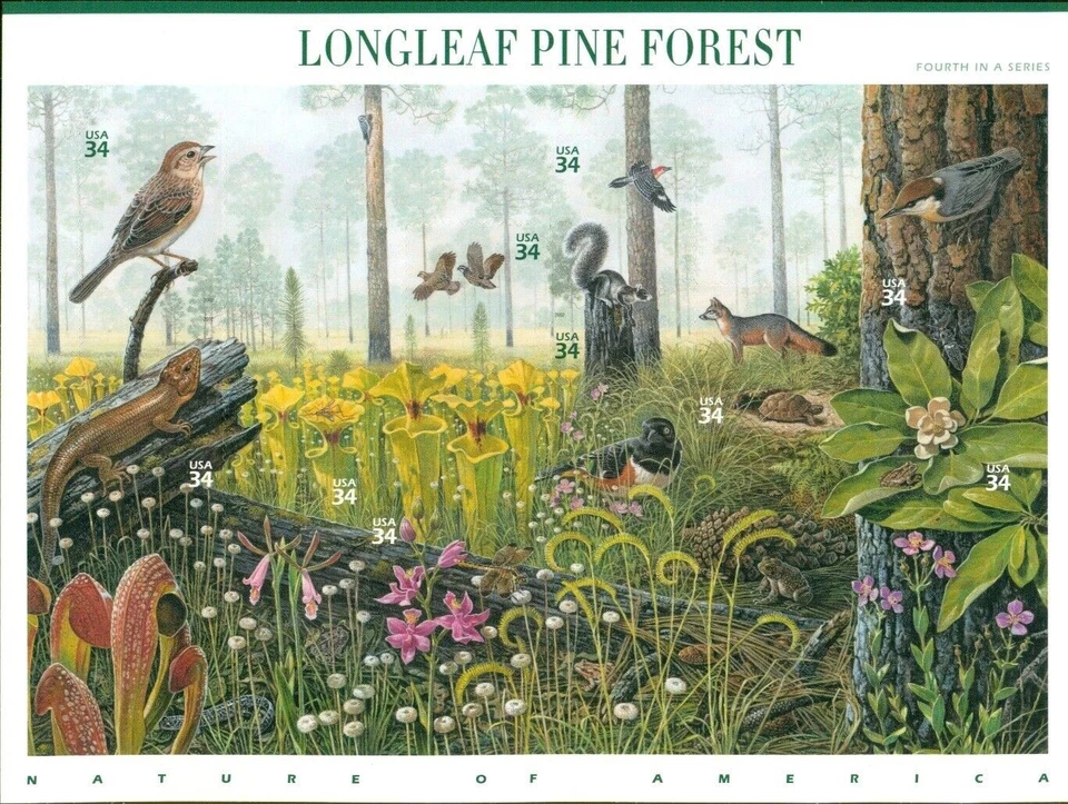 US 2002 Nature of America LONGLEAF PINE FOREST Sheet of 10; 34 Cents MNH Sc 3611 - Image 1 of 1