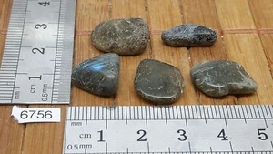 LOT 5 X LABRADORITE pierre roulee mineraux lithotherapie soin reiki esoterisme - Picture 1 of 1