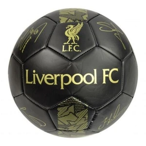 Liverpool FC Foot ball Signature Soccer Phantom Size 1 Mini Official Licensed - Picture 1 of 6