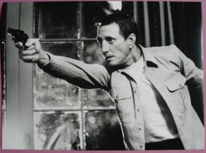 X181 Pressefoto  Roy Scheider -  Das fliegende Auge (1983) BLUE THUNDER #3 - Bild 1 von 2