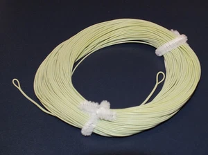 Fly Line Gewicht nach vorne schwimmende 8WT Schlaufen an jedem Ende, moosgrün 100' LN540 - Bild 1 von 1