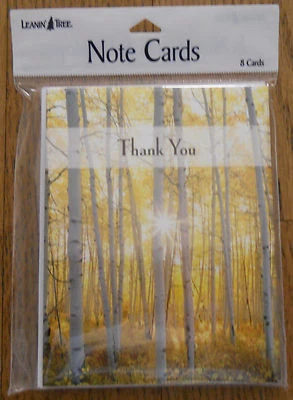 8 Leanin Tree Note Cards THANK YOU, Sun Shining Through Trees in the Woods, USA