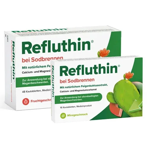 DR.WILLMAR SCHWABE GMBH & CO.KG Refluthin Bei Sodbrennen Kautabletten Minze + Frucht 64 St