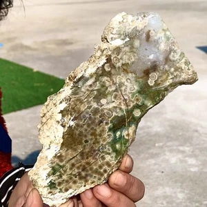 Fetta di cristallo di diaspro marino naturale 262G grande esemplare guarigione - grado museale - Foto 1 di 22