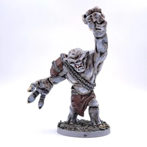 Cave Troll Miniatura - RPG Mini - DnD Monster Mini - LOTR - Pathfinder - Imagen 1 de 4