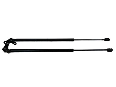 2003-2011 Honda Element Rear Tailgate Liftgate Lift Support Shock Strut Set OEM - Image 1 of 4