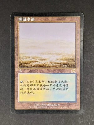 MTG Flooded Strand, Onslaught S- CHINESE - Slightly Played +/-, SP 4 available - Image 1 of 3