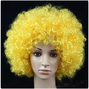 Afro Wig Fancy Dress Afro Party Costume 70s Disco Costume Novelty Diff Colours - Picture 1 of 10