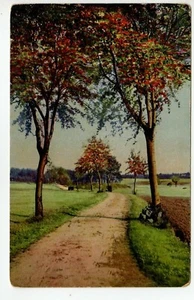 Cartolina epoca. Paesaggio a colori (photocromie).  N.V. - Picture 1 of 3