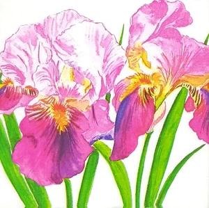 S985# 3 servilletas de papel pequeñas individuales para decoupage iris rosa flores grandes - Imagen 1 de 9