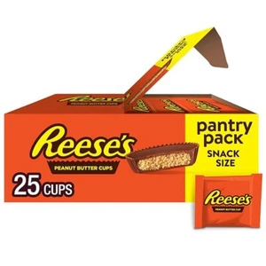 REESE'S Milk Chocolate Snack Size Peanut Butter Cups 13.75 oz (25 Pieces) - Picture 1 of 5