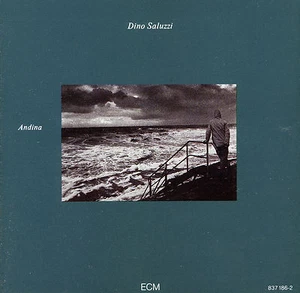 DINO SALUZZI andina - Picture 1 of 2