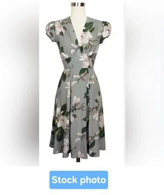 Trashy Diva стали магнолии Ashley платье ретро repro винтажный размер 4 - Изображение 1 из 4