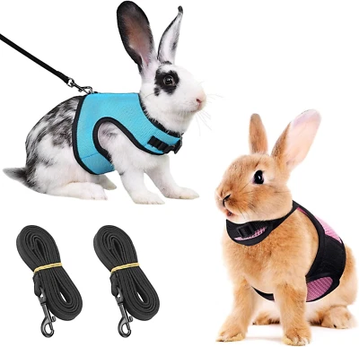 2 Stück Kaninchen Leine, Blau & Rosa Einstellbar Hasenleine, Elastisch Kaninchen - Bild 1 von 4
