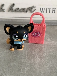 Littlest Pet Shop Chihuahua Bundle  #1571 - Picture 1 of 1