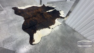 Cowhide Rug Tricolor Brindle Leather Size 77”x71” - 108 - Picture 1 of 7
