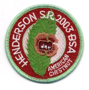 Parche Henderson Scout Reservation 2002 (Consejo de Otschodela), American Chestnut - Imagen 1 de 1