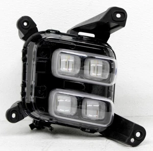OEM Right Passenger Side LED Fog Lamp For Kia Sedona 92202-A9700 - Bild 1 von 4