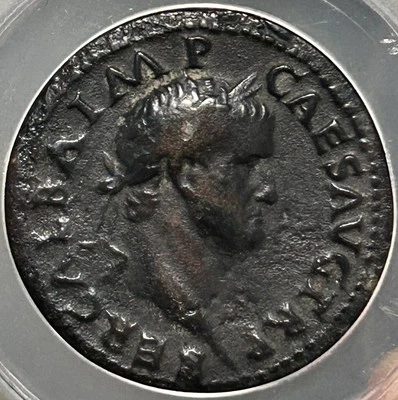 Galba AE Sestertius AD 68-69 Roma seated ANACS VF20 - Image 1 of 4