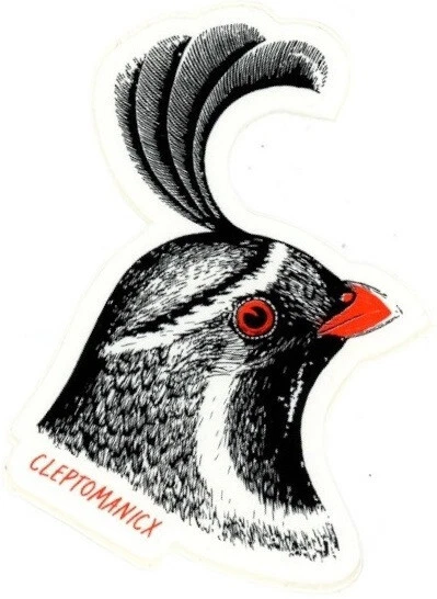 Cleptomanicx Skateboard Sticker Schwarz Weiß Orange Transp 8,5x11cm Gestanzt