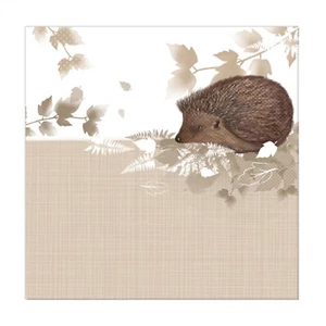 Tarjeta en blanco RSPB Nature Trail - Erizo 72268 - Imagen 1 de 1