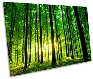 Forest Landscape Sunrise Picture CANVAS WALL ART Print - Picture 1 of 1