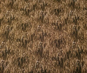 15" Duck Lake Hautman Quilting Treasures Ducks on Tonal Brown Grasses - Picture 1 of 3