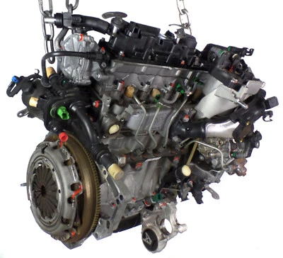 Citroen Berlingo II B9 1.6 HDi Motor 9H06 - 10JBEM / 55 kW mit Einspritpumpe - Bild 1 von 4