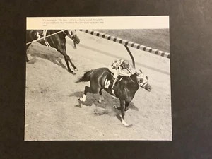 SECRETARIAT Photo Horse Racing 1973 KENTUCKY DERBY FINISH LINE - Picture 1 of 1