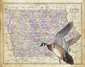 Wood Duck Hunting Iowa State Map Art Print Vintage Fishing Cabin Wall Decor Gift - Picture 1 of 1