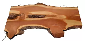 Aromatic Red Cedar Knotty Bark Wall Art Slab Cut Live Edge Piece SHIPs FREE! - Picture 1 of 12