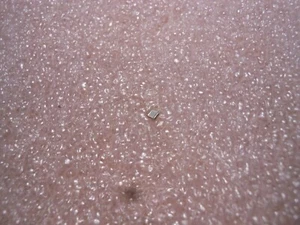 REPUBLIC CAPACITOR PART # CDR14BG5R6EBSM NSN: 5910-01-119-3224 - Picture 1 of 4