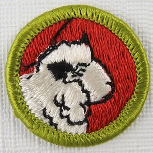 Sheep Farming Merit Badge 1972-1975 Type H Clear Plastic [MB-715] - Picture 1 of 1