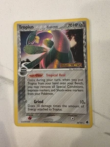 2006 Tropius (Delta Species) 23/101 Rev Holo Rare Dragon Frontiers STAMP -LP/MP - Picture 1 of 2