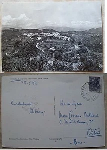 Tivegna La Spezia - Panorama vom Pinienwald, 1959 gereist - Bild 1 von 1