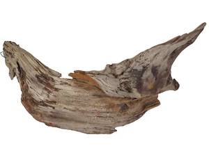 Driftwood 23" Natural Unique Taxidermy Aquarium Terrarium Beach House Decor - Picture 1 of 5